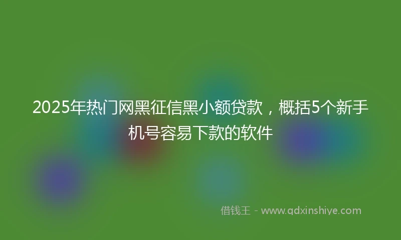 2025年热门网黑征信黑小额贷款，概括5个新手机号容易下款的软件