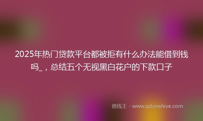 2025年热门贷款平台都被拒有什么办法能借到钱吗_，总结五个无视黑白花户的下款口子
