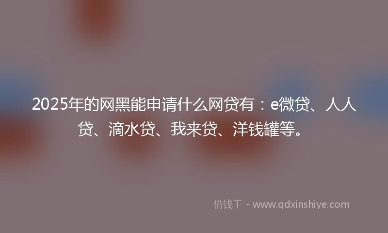 2025年的网黑能申请什么网贷有：e微贷、人人贷、滴水贷、我来贷、洋钱罐等。