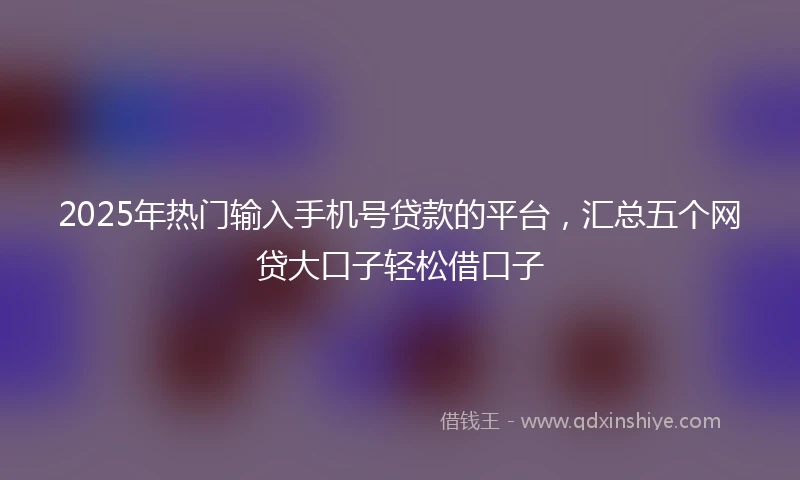 2025年热门输入手机号贷款的平台，汇总五个网贷大口子轻松借口子
