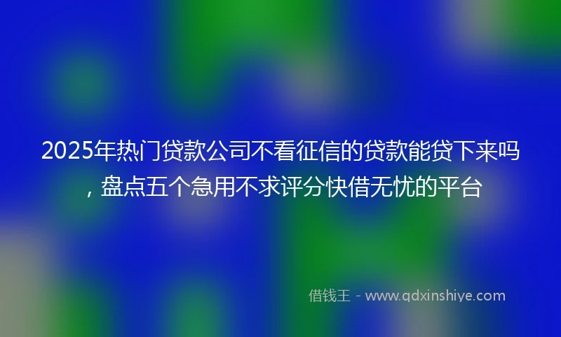 2025年热门贷款公司不看征信的贷款能贷下来吗，盘点五个急用不求评分快借无忧的平台