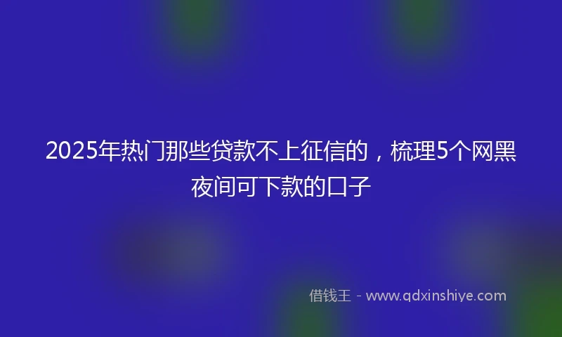 2025年热门那些贷款不上征信的，梳理5个网黑夜间可下款的口子