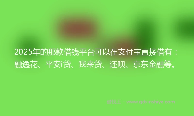 2025年的那款借钱平台可以在支付宝直接借有：融逸花、平安i贷、我来贷、还呗、京东金融等。