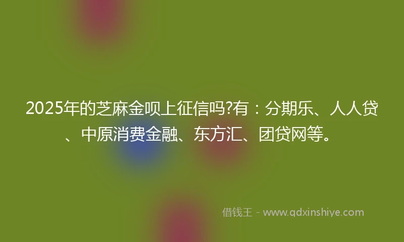 2025年的芝麻金呗上征信吗?有：分期乐、人人贷、中原消费金融、东方汇、团贷网等。