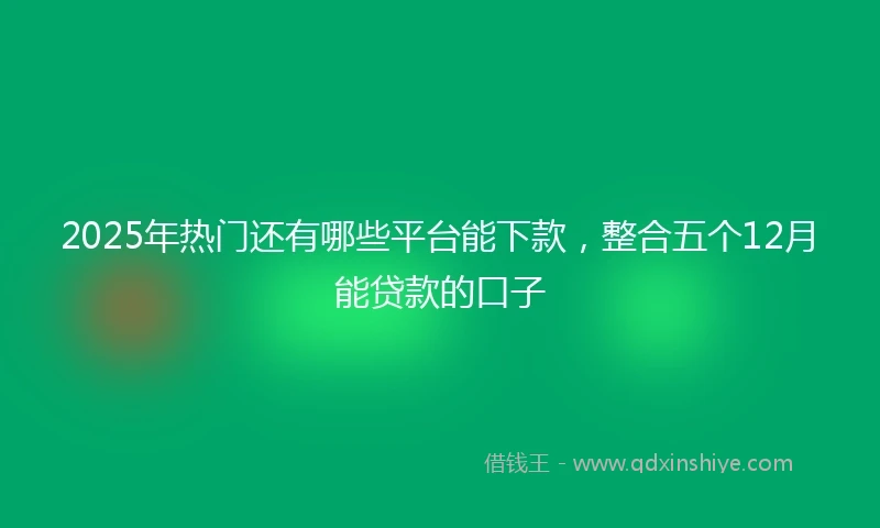 2025年热门还有哪些平台能下款，整合五个12月能贷款的口子