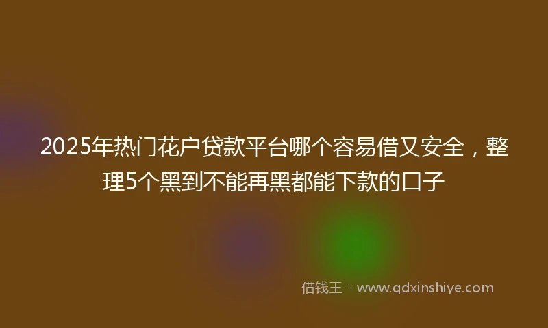 2025年热门花户贷款平台哪个容易借又安全，整理5个黑到不能再黑都能下款的口子