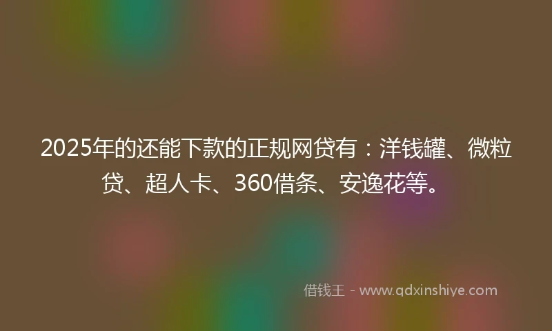 2025年的还能下款的正规网贷有：洋钱罐、微粒贷、超人卡、360借条、安逸花等。