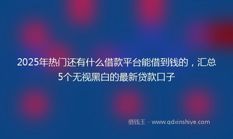 2025年热门还有什么借款平台能借到钱的，汇总5个无视黑白的最新贷款口子