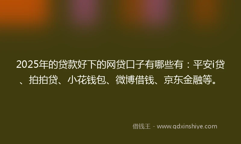 2025年的贷款好下的网贷口子有哪些有：平安i贷、拍拍贷、小花钱包、微博借钱、京东金融等。