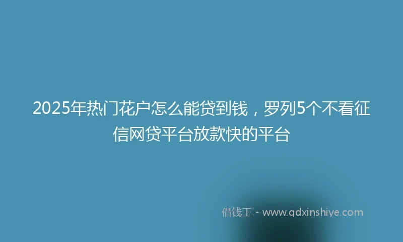 2025年热门花户怎么能贷到钱，罗列5个不看征信网贷平台放款快的平台