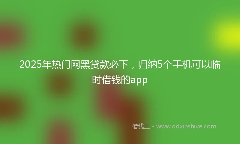 2025年热门网黑贷款必下，归纳5个手机可以临时借钱的app