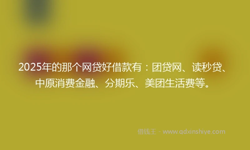 2025年的那个网贷好借款有：团贷网、读秒贷、中原消费金融、分期乐、美团生活费等。