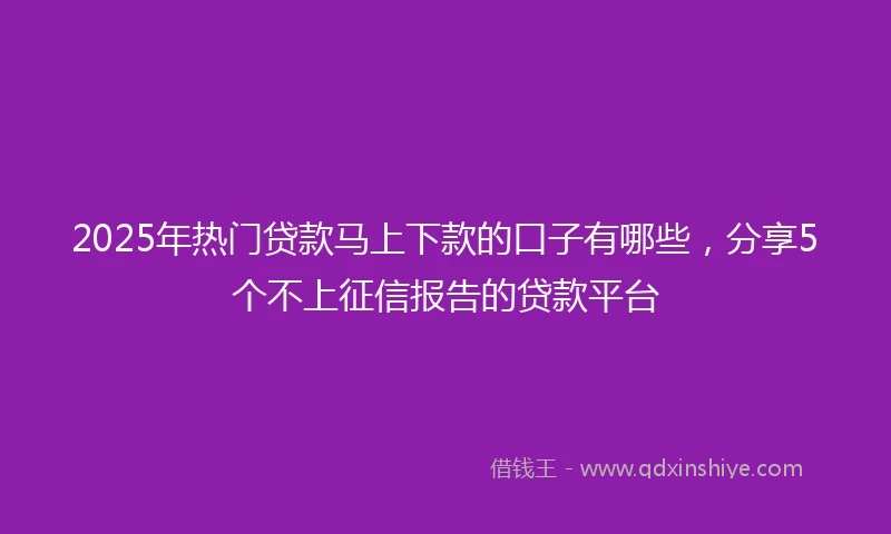 2025年热门贷款马上下款的口子有哪些，分享5个不上征信报告的贷款平台