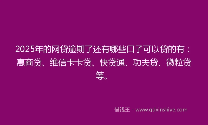2025年的网贷逾期了还有哪些口子可以贷的有：惠商贷、维信卡卡贷、快贷通、功夫贷、微粒贷等。