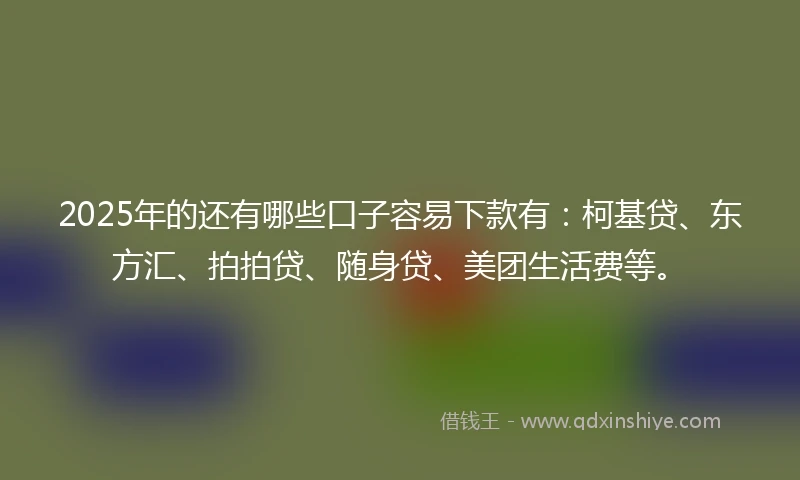 2025年的还有哪些口子容易下款有:柯基贷、东方汇、拍拍贷、随身贷、美团生活费等。