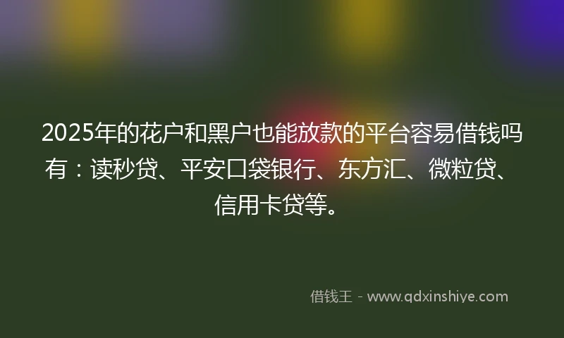 2025年的花户和黑户也能放款的平台容易借钱吗有：读秒贷、平安口袋银行、东方汇、微粒贷、信用卡贷等。
