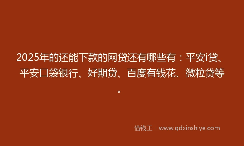 2025年的还能下款的网贷还有哪些有：平安i贷、平安口袋银行、好期贷、百度有钱花、微粒贷等。