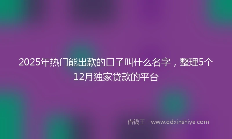 2025年热门能出款的口子叫什么名字，整理5个12月独家贷款的平台