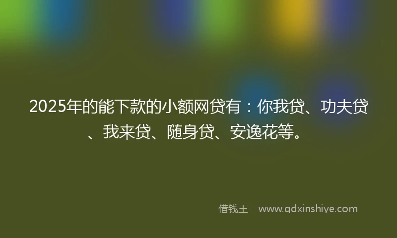 2025年的能下款的小额网贷有：你我贷、功夫贷、我来贷、随身贷、安逸花等。