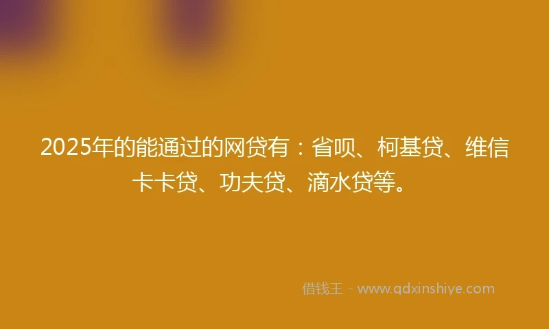 2025年的能通过的网贷有：省呗、柯基贷、维信卡卡贷、功夫贷、滴水贷等。