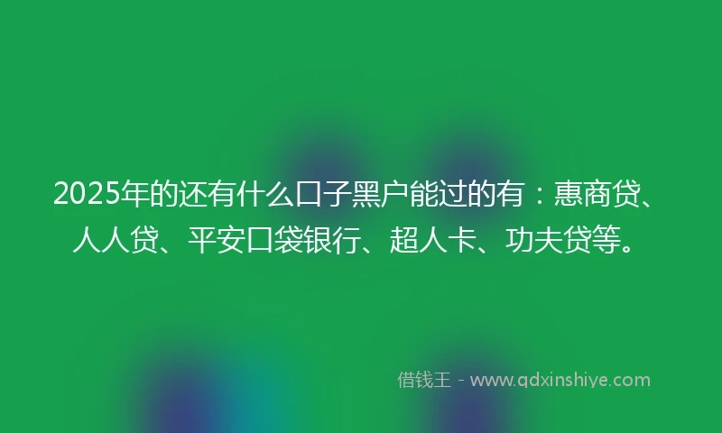 2025年的还有什么口子黑户能过的有：惠商贷、人人贷、平安口袋银行、超人卡、功夫贷等。
