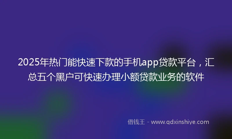 2025年热门能快速下款的手机app贷款平台，汇总五个黑户可快速办理小额贷款业务的软件