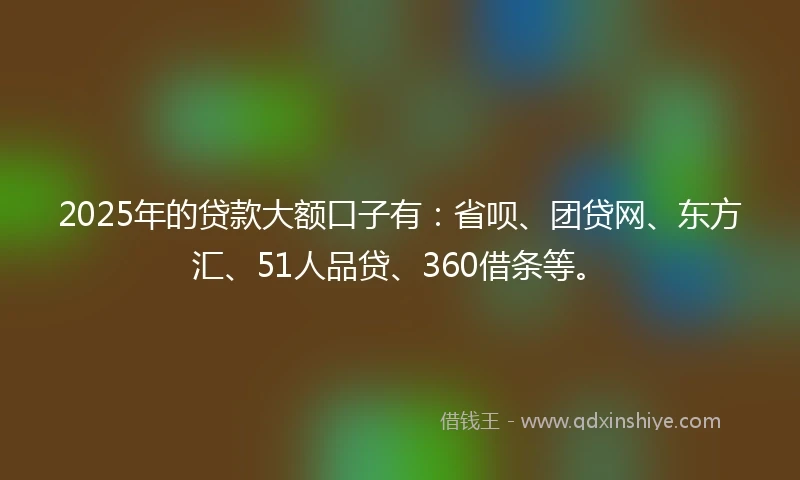 2025年的贷款大额口子有：省呗、团贷网、东方汇、51人品贷、360借条等。