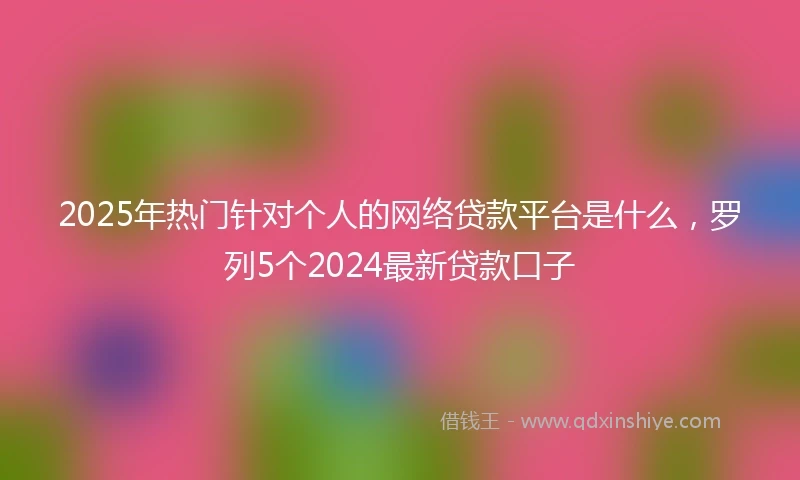 2025年热门针对个人的网络贷款平台是什么，罗列5个2024最新贷款口子