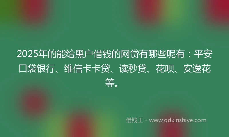 2025年的能给黑户借钱的网贷有哪些呢有：平安口袋银行、维信卡卡贷、读秒贷、花呗、安逸花等。