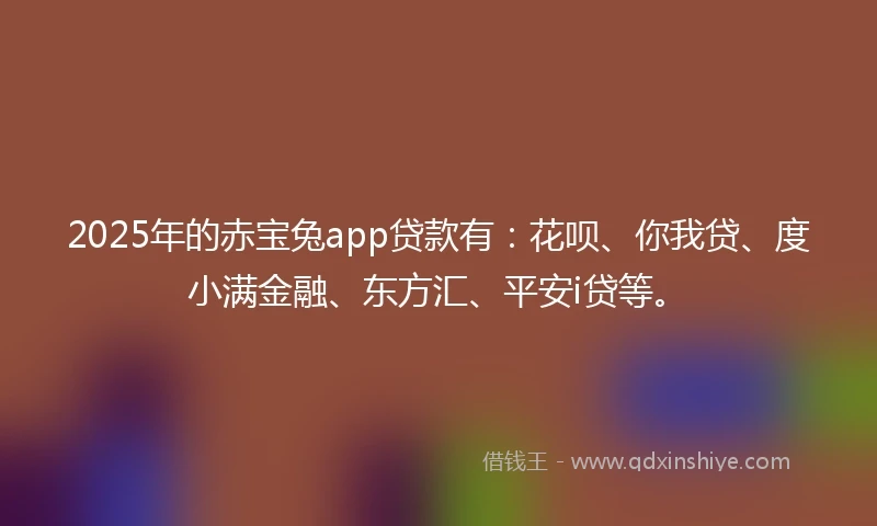 2025年的赤宝兔app贷款有：花呗、你我贷、度小满金融、东方汇、平安i贷等。