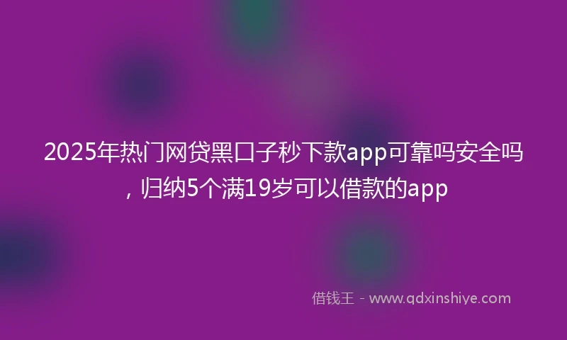 2025年热门网贷黑口子秒下款app可靠吗安全吗，归纳5个满19岁可以借款的app
