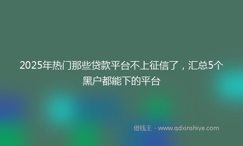 2025年热门那些贷款平台不上征信了，汇总5个黑户都能下的平台
