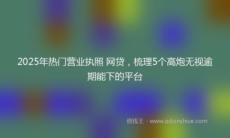 2025年热门营业执照 网贷，梳理5个高炮无视逾期能下的平台
