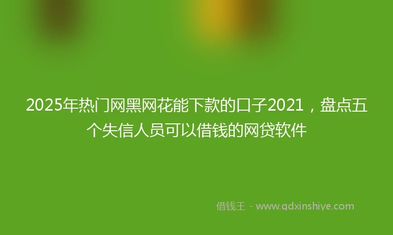 2025年热门网黑网花能下款的口子2021，盘点五个失信人员可以借钱的网贷软件