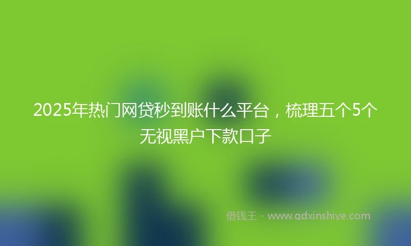 2025年热门网贷秒到账什么平台，梳理五个5个无视黑户下款口子