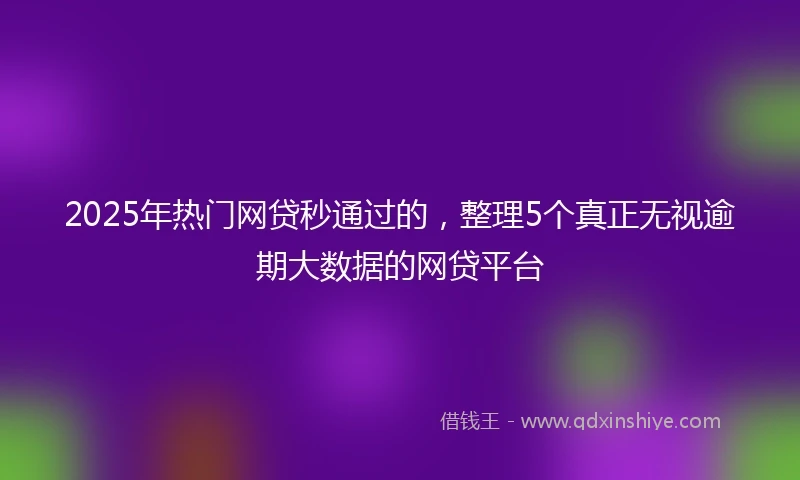 2025年热门网贷秒通过的，整理5个真正无视逾期大数据的网贷平台