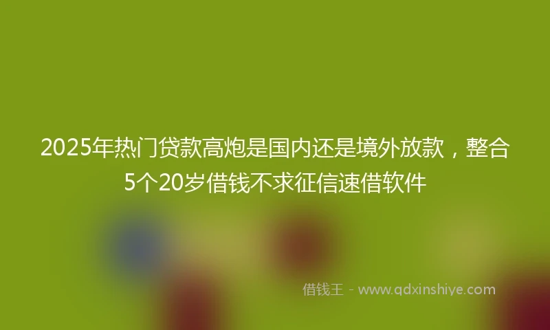 2025年热门贷款高炮是国内还是境外放款,整合5个20岁借钱不求征信速借软件