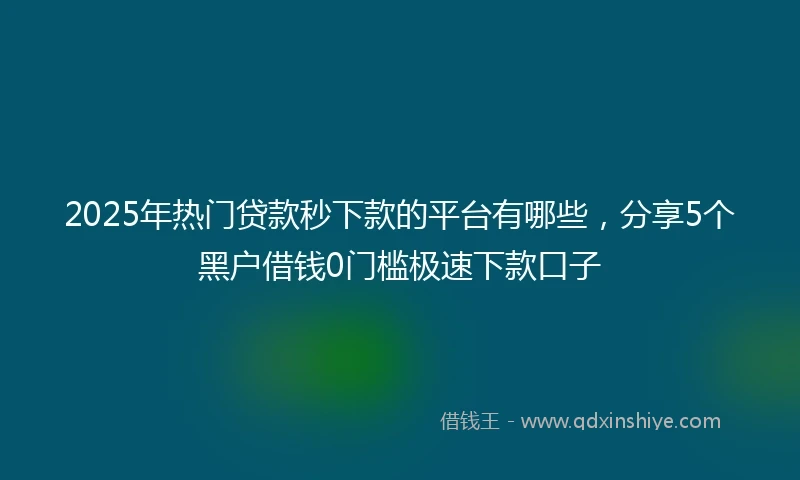2025年热门贷款秒下款的平台有哪些，分享5个黑户借钱0门槛极速下款口子