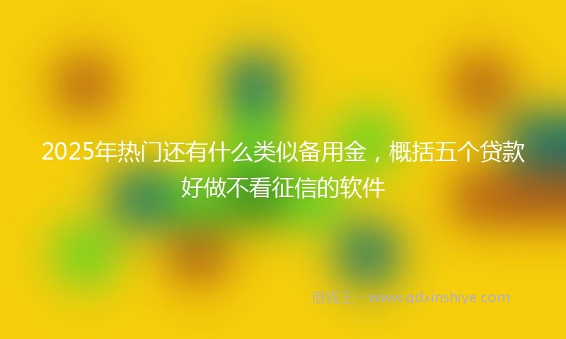 2025年热门还有什么类似备用金，概括五个贷款好做不看征信的软件
