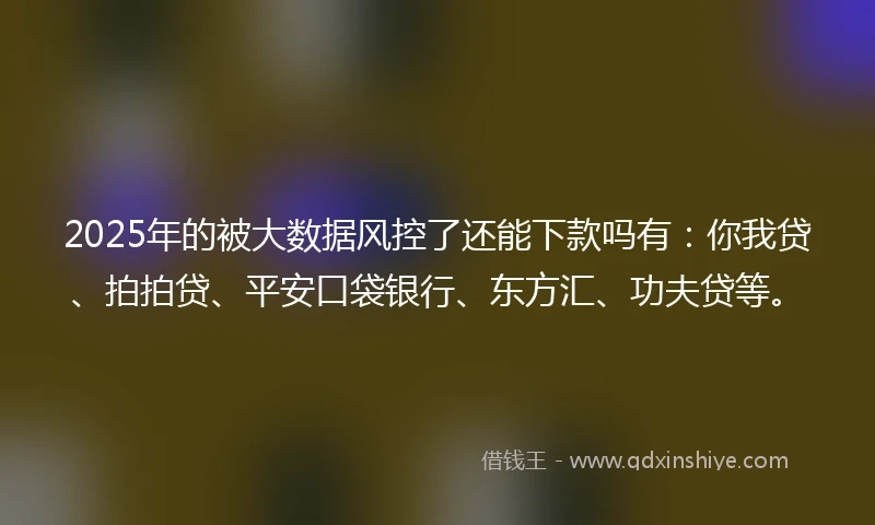 2025年的被大数据风控了还能下款吗有：你我贷、拍拍贷、平安口袋银行、东方汇、功夫贷等。