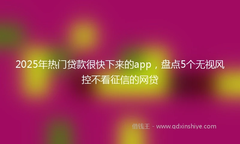 2025年热门贷款很快下来的app，盘点5个无视风控不看征信的网贷