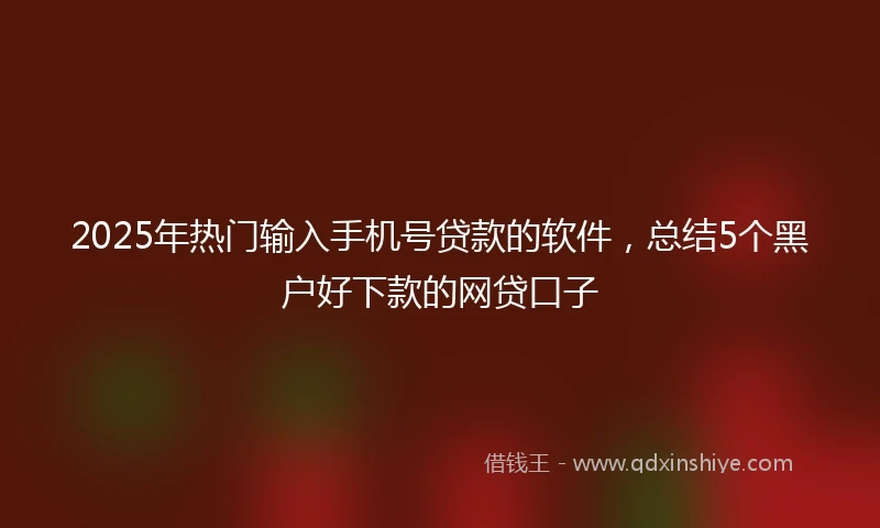 2025年热门输入手机号贷款的软件，总结5个黑户好下款的网贷口子