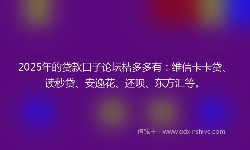 2025年的贷款口子论坛桔多多有：维信卡卡贷、读秒贷、安逸花、还呗、东方汇等。