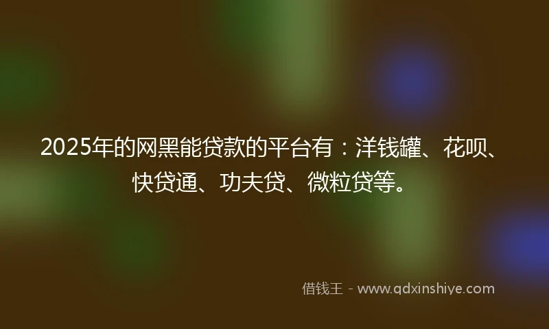 2025年的网黑能贷款的平台有：洋钱罐、花呗、快贷通、功夫贷、微粒贷等。