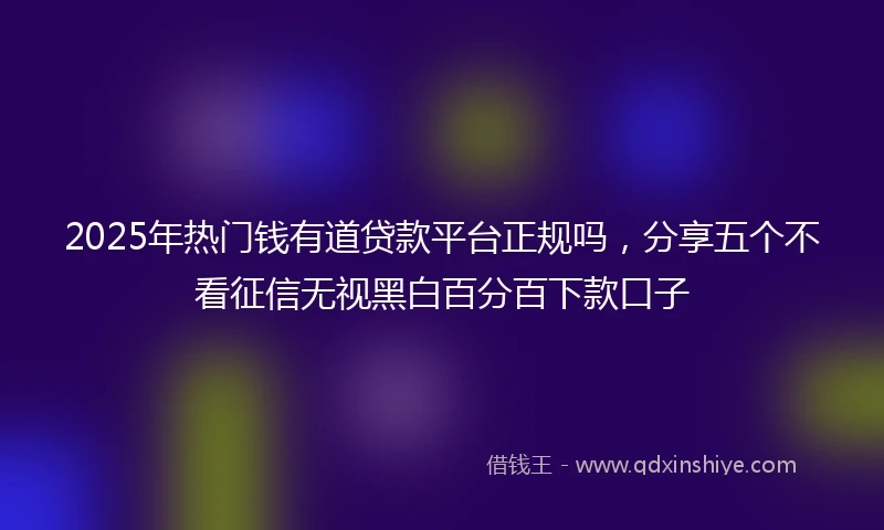 2025年热门钱有道贷款平台正规吗，分享五个不看征信无视黑白百分百下款口子