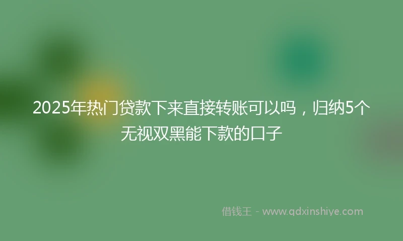 2025年热门贷款下来直接转账可以吗，归纳5个无视双黑能下款的口子