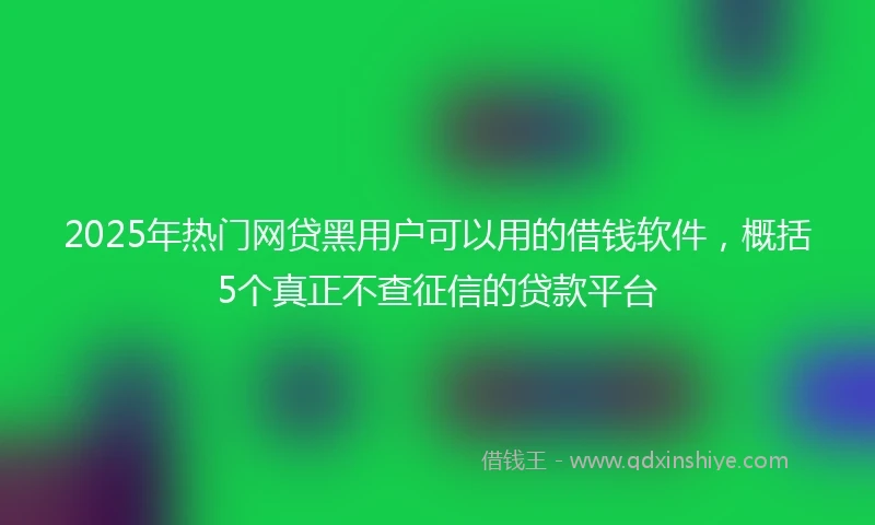 2025年热门网贷黑用户可以用的借钱软件，概括5个真正不查征信的贷款平台