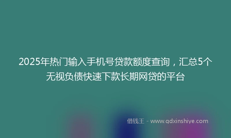 2025年热门输入手机号贷款额度查询，汇总5个无视负债快速下款长期网贷的平台