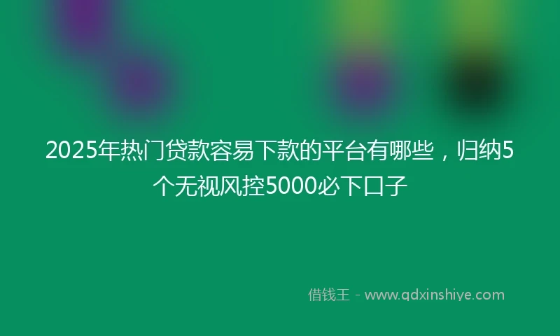 2025年热门贷款容易下款的平台有哪些，归纳5个无视风控5000必下口子