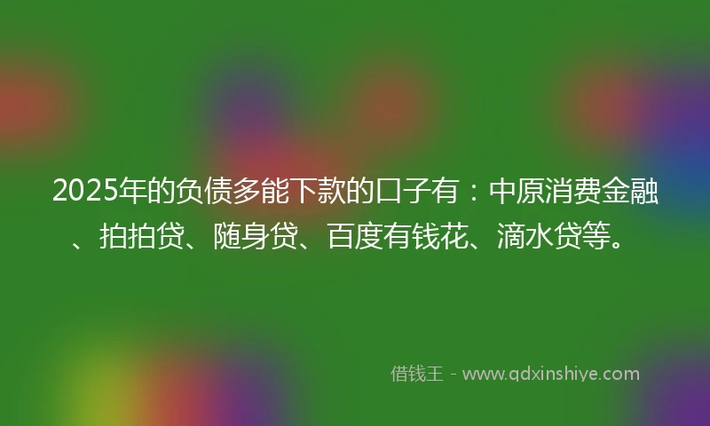 2025年的负债多能下款的口子有：中原消费金融、拍拍贷、随身贷、百度有钱花、滴水贷等。